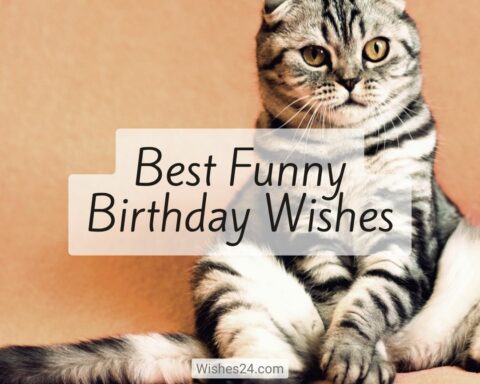 Examples of Best Funny Birthday Wishes