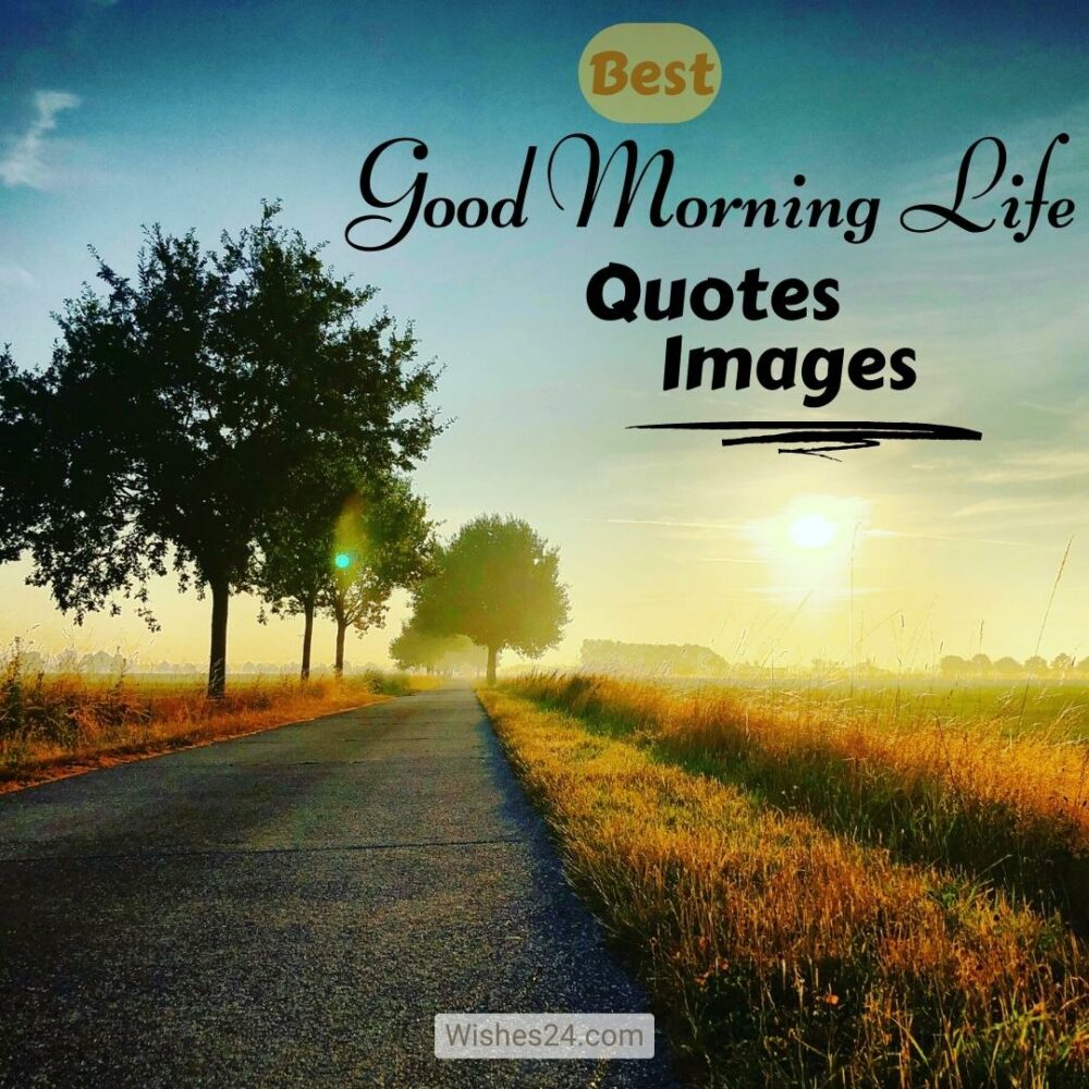 Best Good Morning Life Quotes To Build Your Day